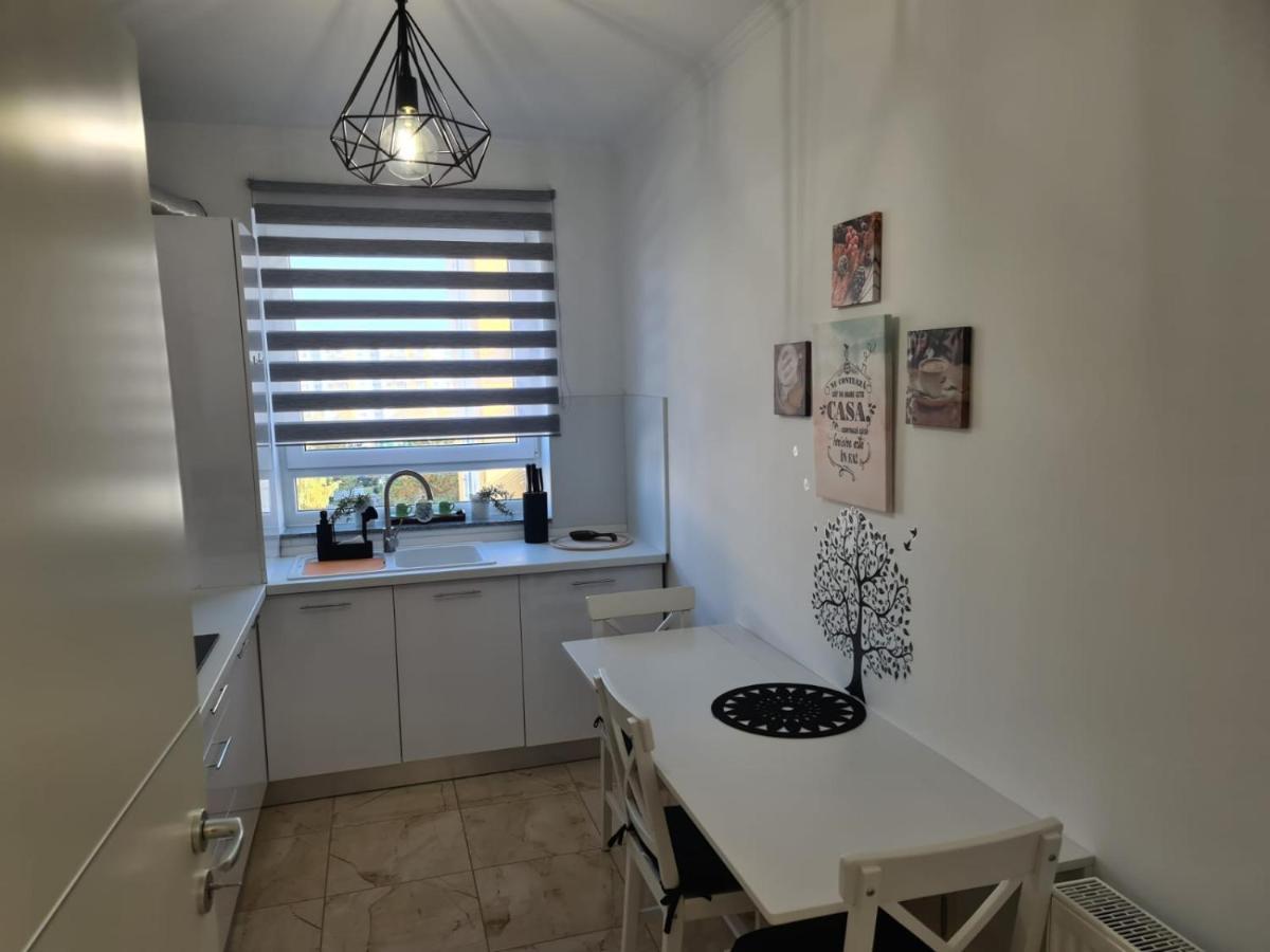 Oscar House Daire Braşov Dış mekan fotoğraf